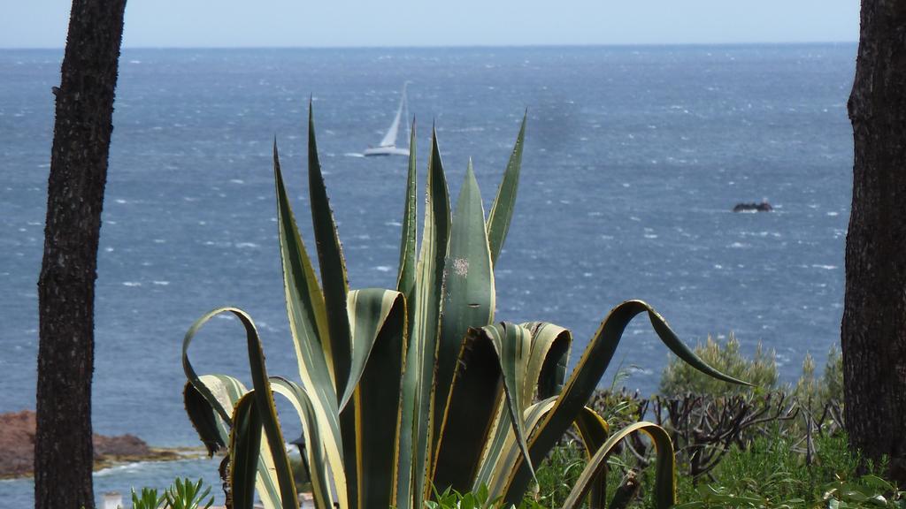 Bastidon Vue Mer Antheor-Cap-Roux Quarto foto